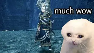 An idiot plays Monster Hunter Rise