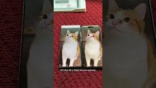 Flolab 3D anti reflective screen protector vs S24 Ultra display!