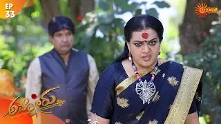 Ammanoru - Episode 33 | 26th Feb 2020 | Udaya TV Serial | Kannada Serial