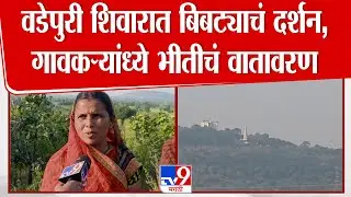 Nanded Leopard News |  वडेपुरी शिवारात बिबट्याचं दर्शन,गावकऱ्यांध्ये भीतीचं वातावरण
