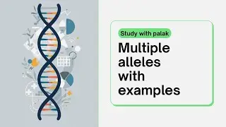 MULTIPLE ALLELES CONCEPT WITH EXAMPLES- BY PALAK MAHAJAN|JKPSC|CSIR|NEET
