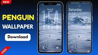 Penguin Wallpaper | Penguin Mountain Wallpaper Download Tutorial