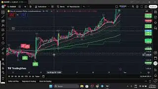 oro forex