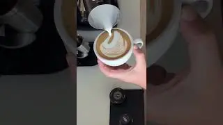 Hoş ti make Swan Latte Art 🤎🦢 #coffee #coffeelatteart #homemade #follow