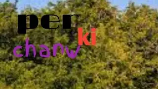 Mai aur beti per ki chanw  me  baite hai. 