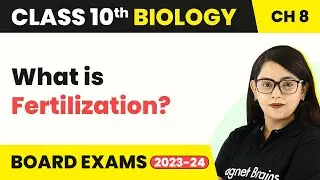 Class 10 Biology Chapter 8 | Fertilization - How Do Organisms Reproduce?