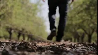 Persona Caminando -Sin Copyright - [Visual Freedom]