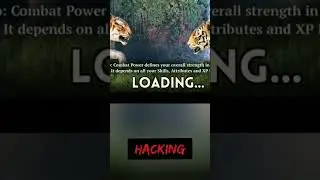The Tiger Hack Attributes