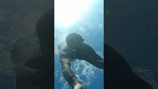 #scubadiving #diving #underwater #swimming #shorts #viral #youtubeshorts #youtube #water