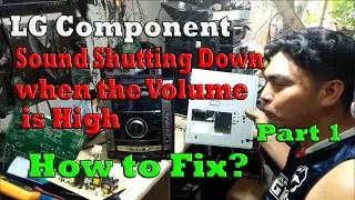LG Component Sound Shutting Down When the Volume is High