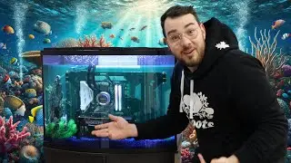 Building a PC Inside a Fish Tank