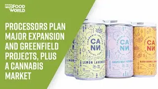 Processors Plan Major Expansion and Greenfield Projects, Plus a Cannabis Market Update