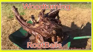 Woodturning -  Rootballs, Roots  and Root Balls