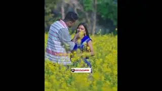 Serma Laphang || New Santali Video 2026 || Stephan Tudu #santali #dvsbaski #shorts #sohrai #viral