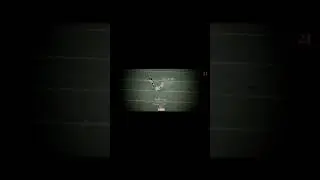 Sean taylor highlights