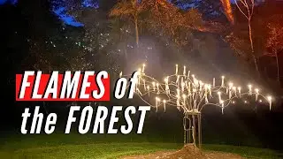FLAMES of the FOREST | Aboriginal Cultural Experience