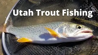 Utah Trout Fishing - Utah Fishing Fall 2021