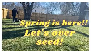 SPRING OVERSEEDING AND LEVELING??