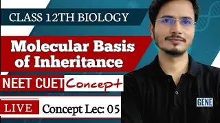 Molecular Basis Of Inheritance | Biology Cocept Series 🔥 Lec 05 #CBSEClass12th #neet2026 #genetics