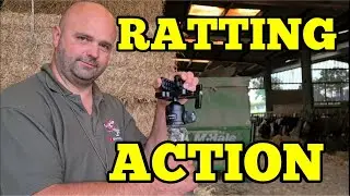 Monster Ratting rat shooting Manbily