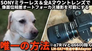 SONYミラーレス＋Aマウントレンズで像面位相差AFを使う唯一の方法!&alpha;1,&alpha;7,&alpha;9,&alpha;6100~対応(&alpha;7RⅣ、&alpha;6600除き）LM-EA7活用で高速高精度AFやマクロ撮影にメリット大（あと安い！