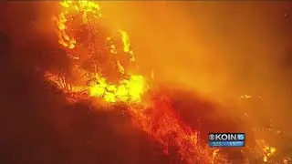 Massive wildfires spark discussion on future prevention