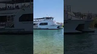 Lake Havasu's Best Kept SECRET is the Tecopa Ferry Boat Ride #shorts