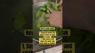 How to wash palak to ensure no dust and insects | #ytshorts #youtubeshorts #shortsvideo #toddlermom