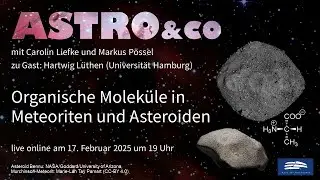 Organische Molek&uuml;le in Meteoriten und Asteroiden