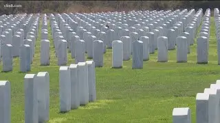 First African American female named Miramar National Cemetery Support Foundation CEO