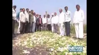 gondal : onion farmers  protest