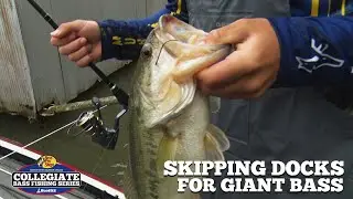 Skipping Docks for GIANT Largemouth Bass