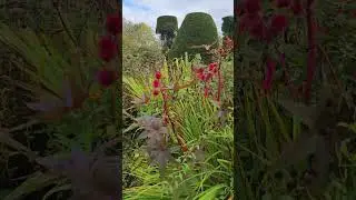 2025.10.24 #шорты Packwood House & Gardens N T