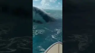 POV: You&rsquo;re Not Alone in the Ocean 🦈🌊 | Chapter 10&rdquo; #pov #shark #scary #attack #surf