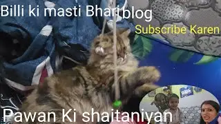 &ldquo;Pawan Ki Shaitani On Next Level 😂🔥 | Masti Bhara Vlog&ldquo;Billi Ki Shaitani Dekh Ke Hasi Nahi Rukeगी 🤣🐾