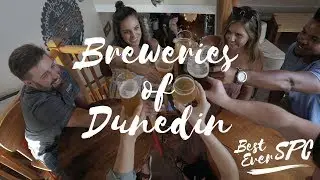 Craft Beer Crawling in Downtown Dunedin