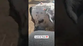 Opa Lyvis und das junge M&auml;dchen Tesa hoffen auf eine bessere Zukunft (wurden getrennt adoptiert)💛