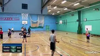 Ceredigion Basketball Development League