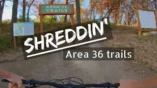 Mountain biking at the Area 36 trails - Theodore Wirth Park, MN