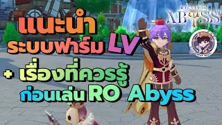 แนะนำระบบฟาร์ม Lv + เรื่องที่ควรรู้ก่อนเล่น - Ragnarok Abyss