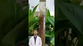 Water treatment chemicals polymer water chemical. #fcnfm #chemistry #youtubeshorts
