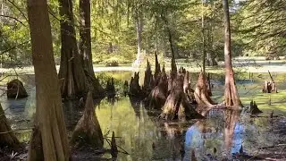 Camping and Unsuccessful Hunting at Pond Creek National Wildlife Refuge