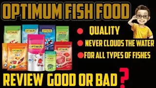 Optimum fish food review || comparison with optimum 3 in 1 #optimum #aquarium #viral