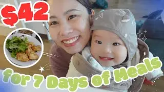 $42 Grocery Budget for the Entire Week | Japanese Mom&rsquo;s Meal Plan
