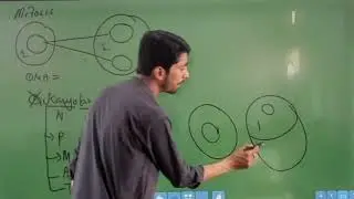 Cell cycle and cell division lecture 1 intro and mitosis