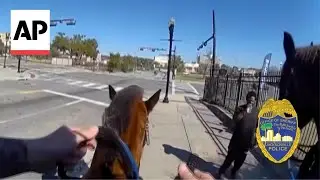 Florida Sheriffs on horseback chase a man they say was a drug suspect