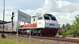 KA GAJAHWONG MEMBAWA RANGKAIAN KAWIS BALI😲😲😲