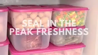 Tupperware FreezerMate