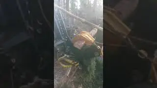 Kellfri stegmatare på farmavagn i gallring