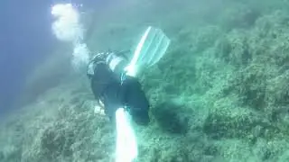 Mallorca dive 3